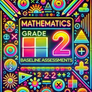 BASELINE ASSESSMENTS