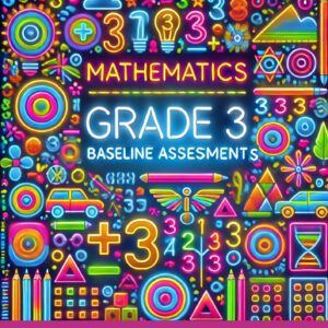 BASELINE ASSESSMENTS