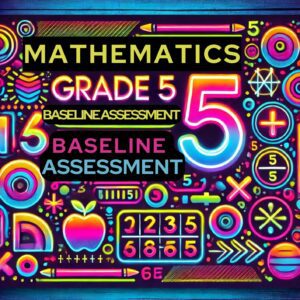 BASELINE ASSESSMENTS