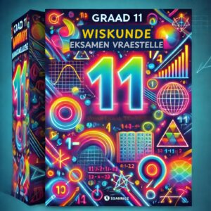 Graad 11 EKSAMEN VRAESTELLE